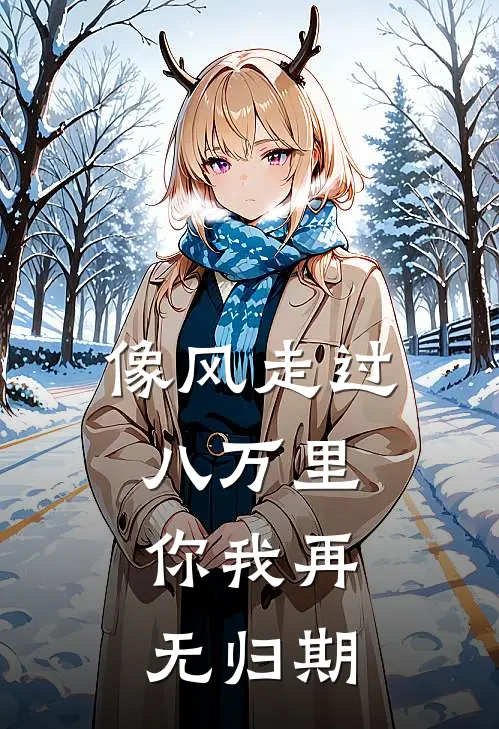 像风走过八万里，你我再无归期