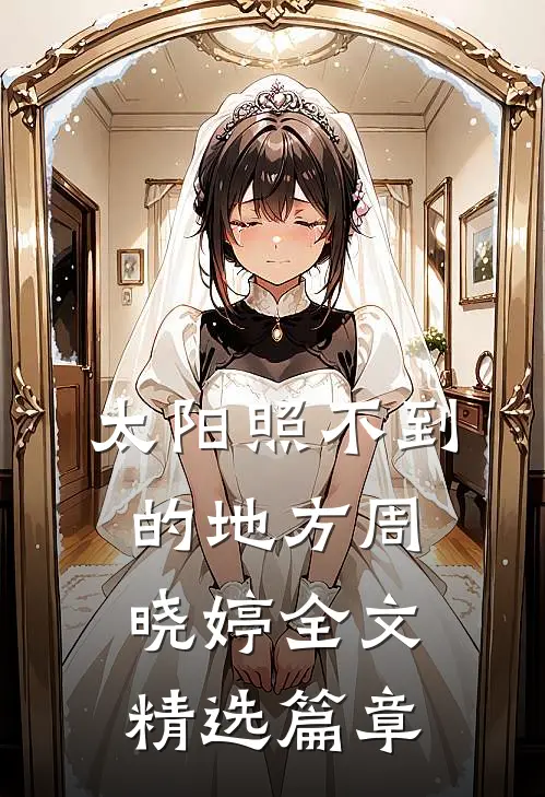 太阳照不到的地方周晓婷全文精选篇章
