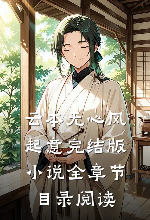 云本无心风起意完结版小说全章节目录阅读