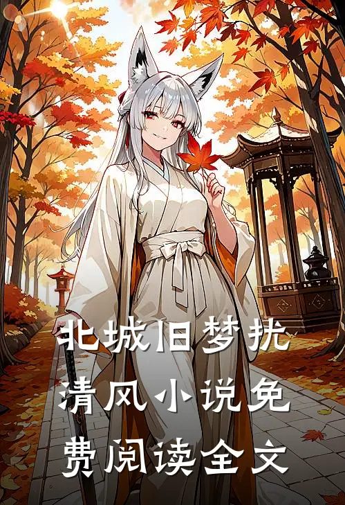 北城旧梦扰清风小说免费阅读全文