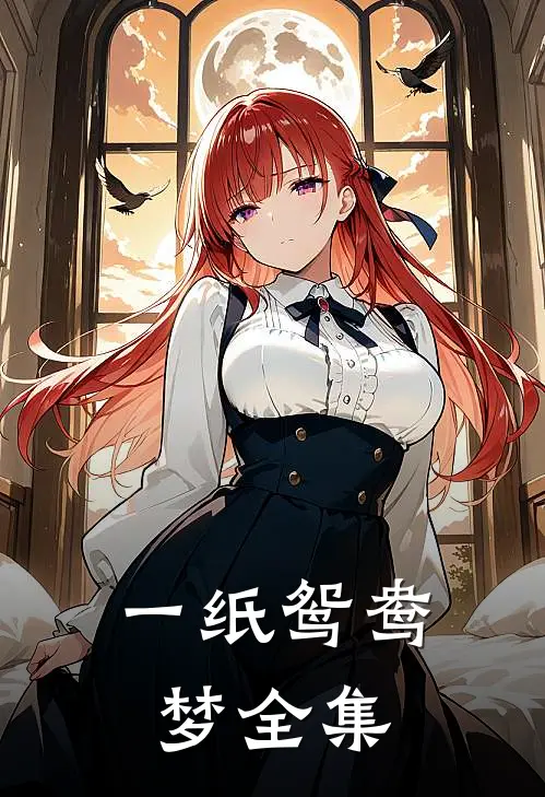 一纸鸳鸯梦 全集