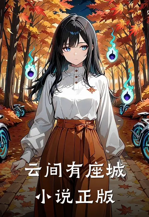 云间有座城小说正版