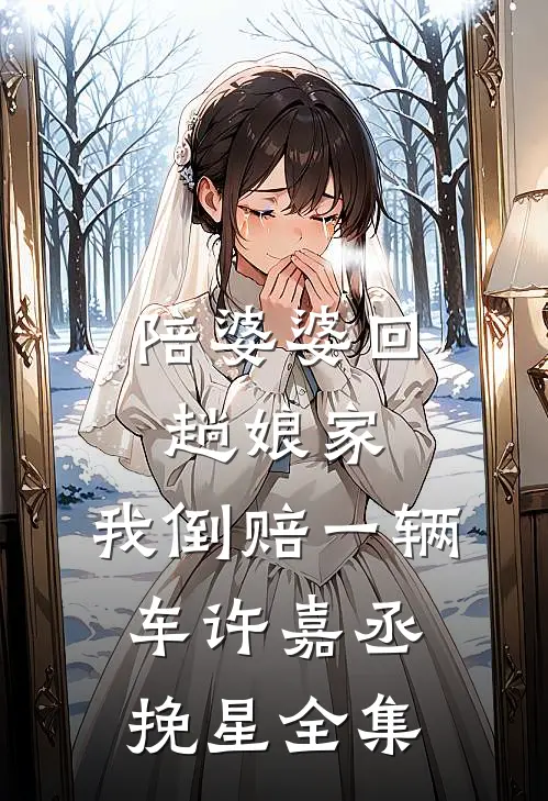 陪婆婆回趟娘家，我倒赔一辆车许嘉丞挽星全集