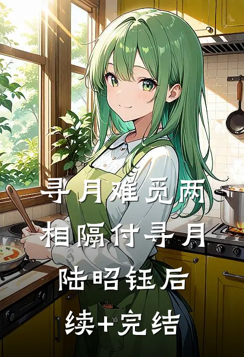 寻月难觅两相隔付寻月陆昭钰后续+完结