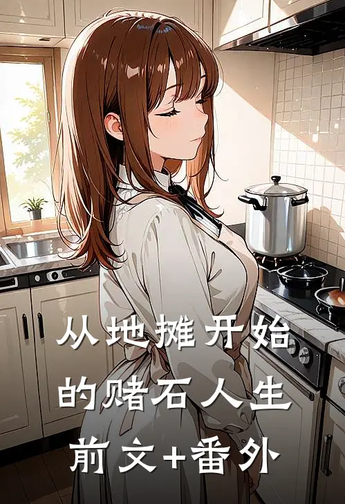 从地摊开始的赌石人生前文+番外