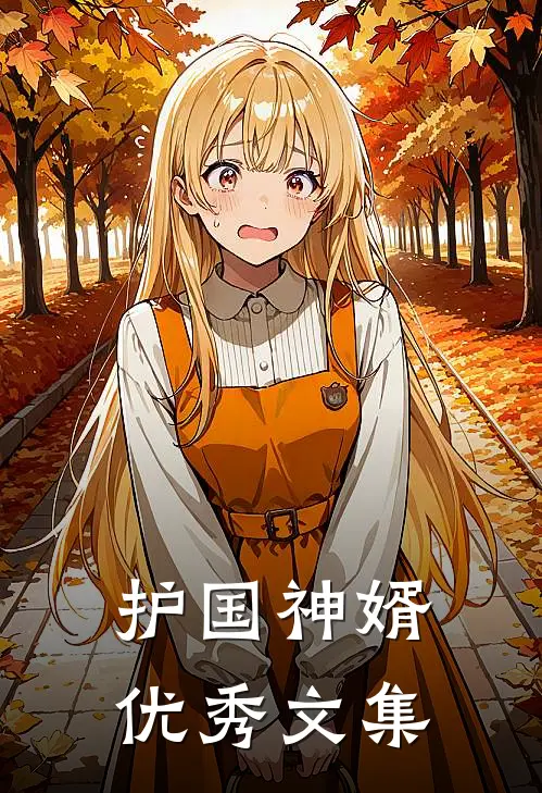 护国神婿优秀文集