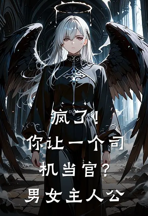 疯了!你让一个司机当官?男女主人公叫