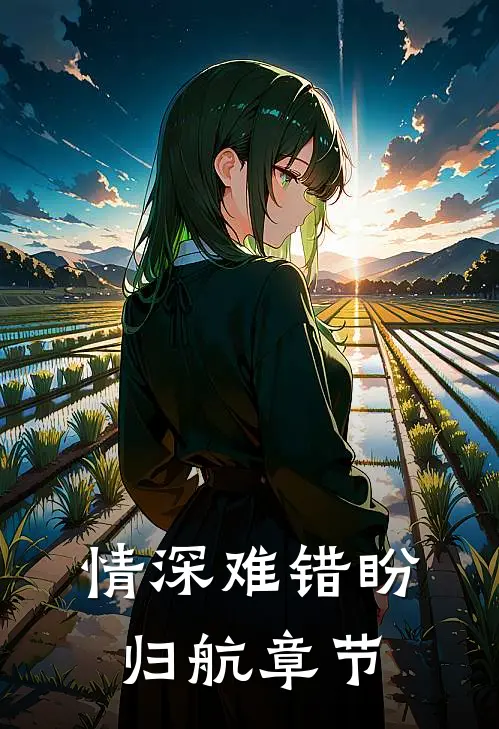 情深难错盼归航章节
