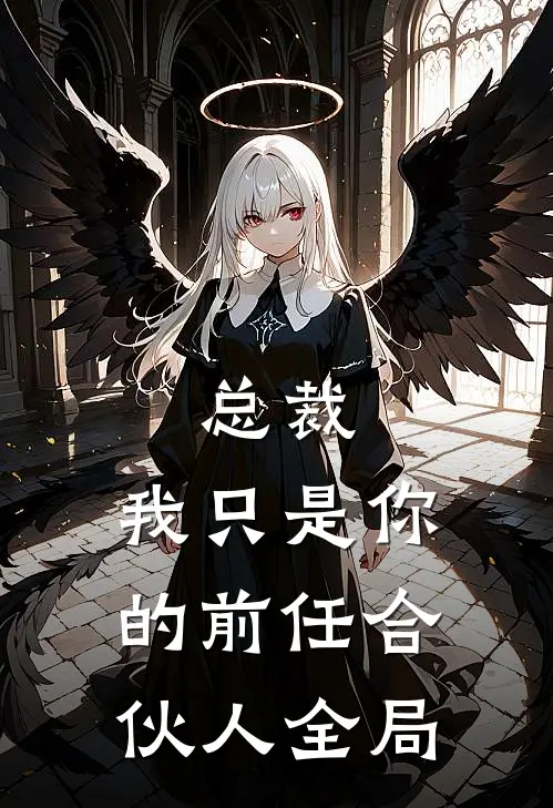 总裁，我只是你的前任合伙人全局