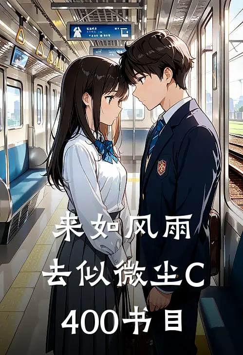 来如风雨，去似微尘C400书目