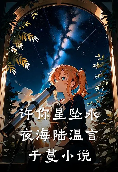 许你星坠永夜海陆温言于蔓小说
