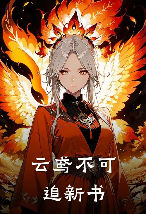 云鸢不可追新书