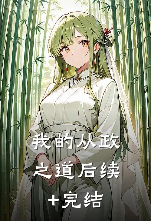 我的从政之道后续+完结