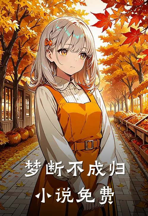 梦断不成归小说免费