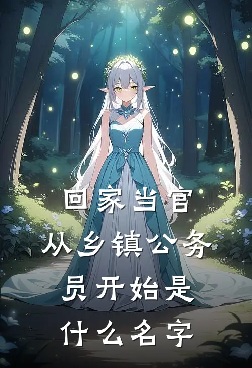 回家当官：从乡镇公务员开始是什么名字
