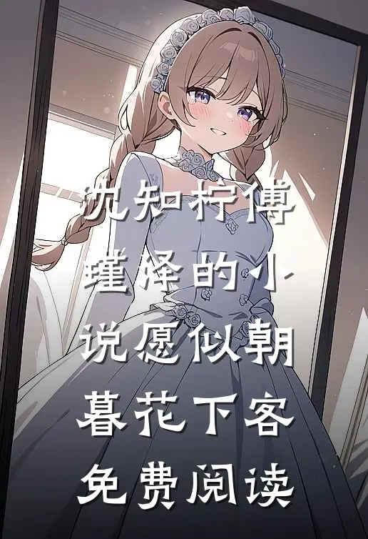 沈知柠傅瑾泽的小说愿似朝暮花下客免费阅读