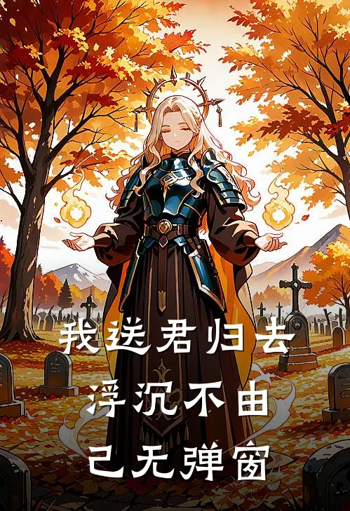 我送君归去，浮沉不由己无弹窗