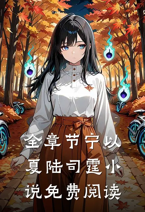 全章节宁以夏陆司霆小说免费阅读