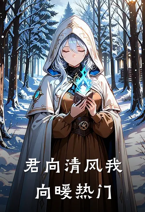君向清风我向暖热门