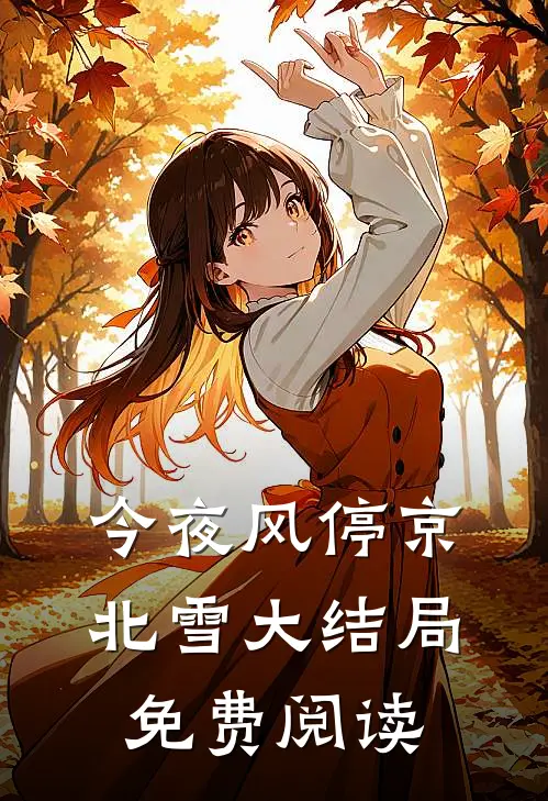 今夜风停京北雪大结局免费阅读
