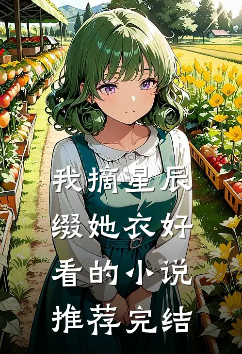 我摘星辰缀她衣好看的小说推荐完结