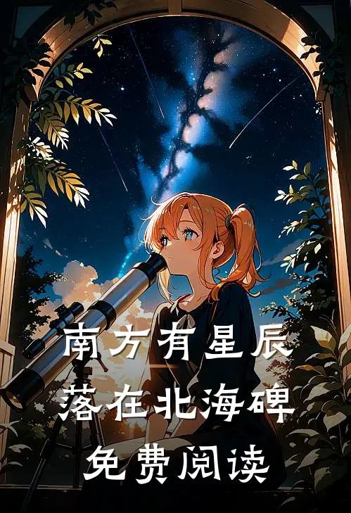 南方有星辰，落在北海碑免费阅读