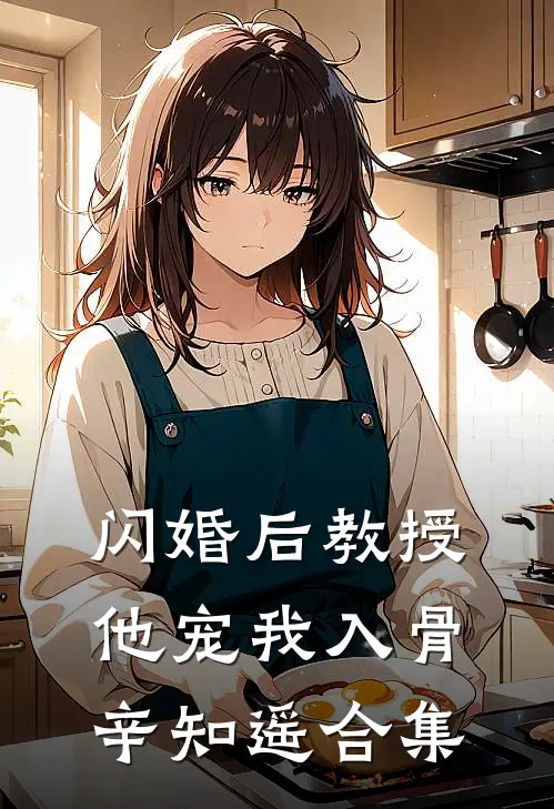 闪婚后教授他宠我入骨辛知遥合集