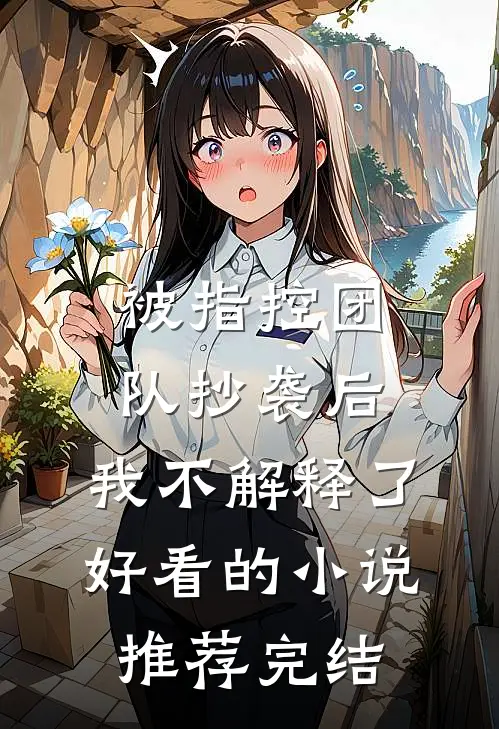 被指控团队抄袭后，我不解释了好看的小说推荐完结