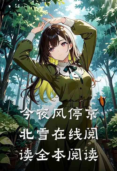 今夜风停京北雪在线阅读全本阅读