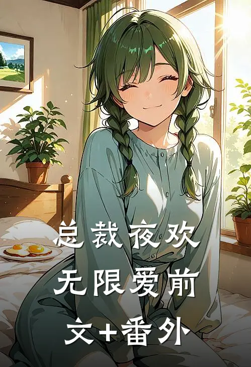 总裁夜欢无限爱前文+番外