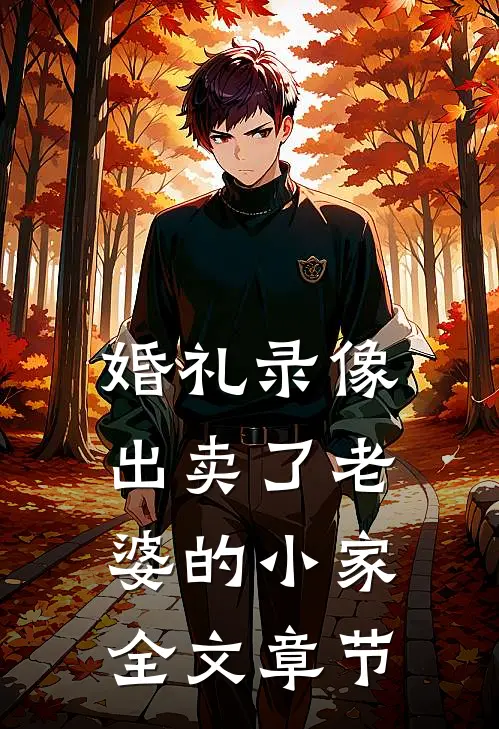 婚礼录像出卖了老婆的小家全文章节