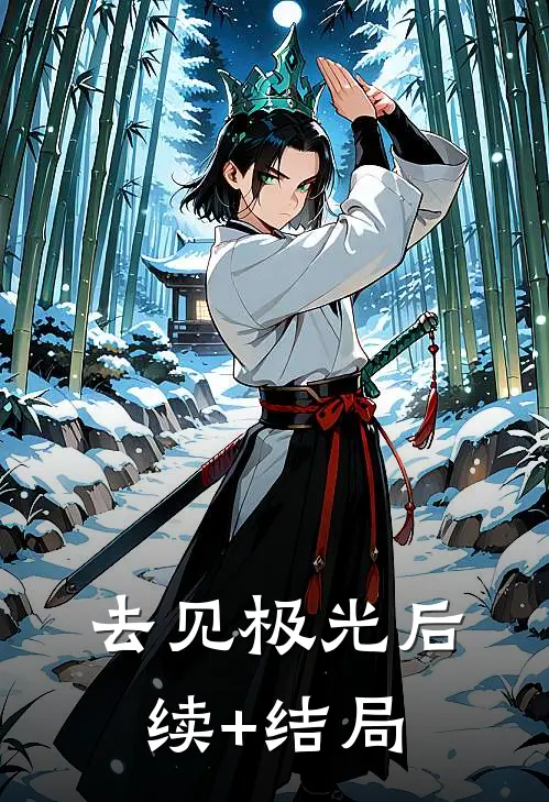 去见极光后续+结局