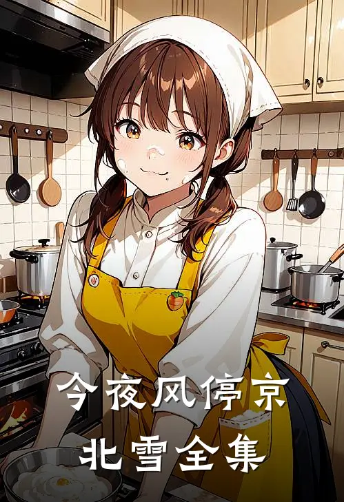 今夜风停京北雪全集