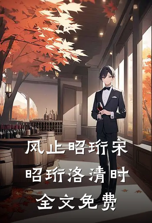 风止昭珩宋昭珩洛清时全文免费