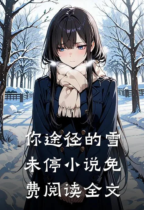 你途径的雪未停小说免费阅读全文