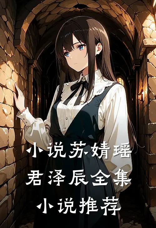 小说苏婧瑶君泽辰全集小说推荐