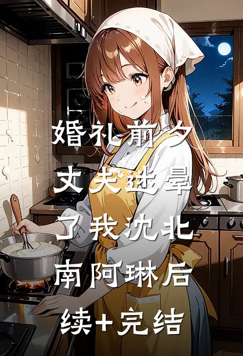 婚礼前夕，丈夫迷晕了我沈北南阿琳后续+完结