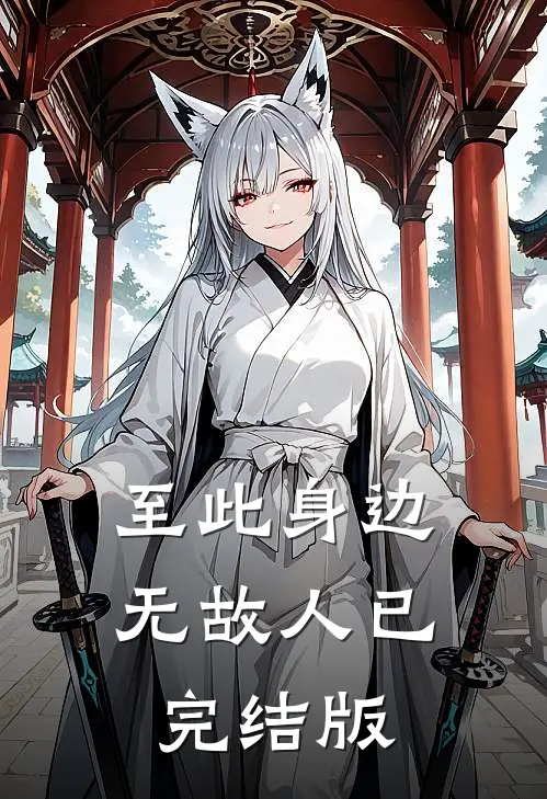 至此身边无故人已完结版