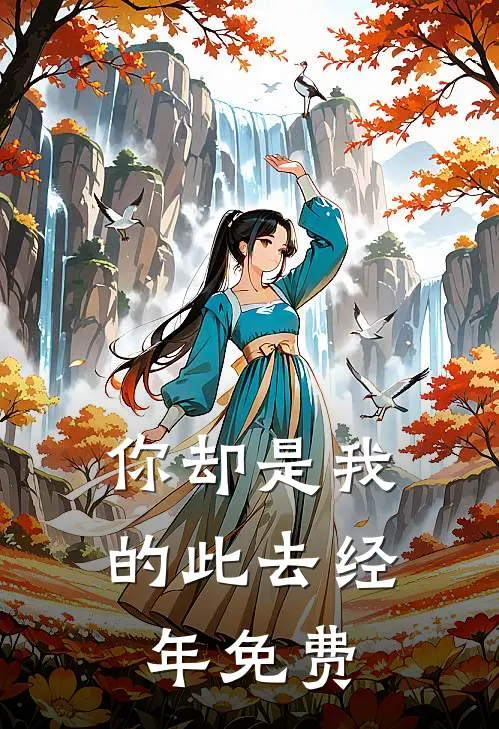 你却是我的此去经年免费