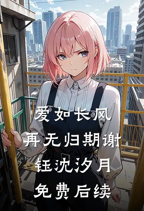 爱如长风，再无归期谢钰沈汐月免费后续