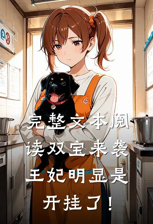 完整文本阅读双宝来袭：王妃明显是开挂了！