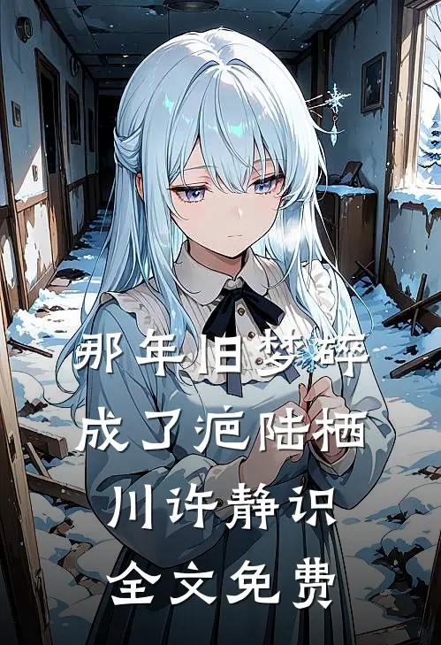 那年旧梦碎成了疤陆栖川许静识全文免费