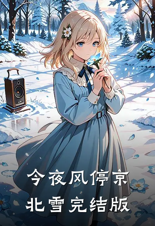 今夜风停京北雪完结版
