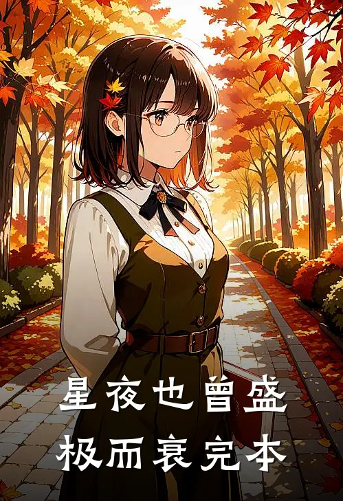 星夜也曾盛极而衰完本