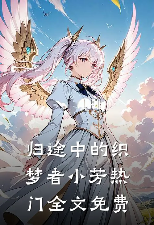 归途中的织梦者小芳热门全文免费